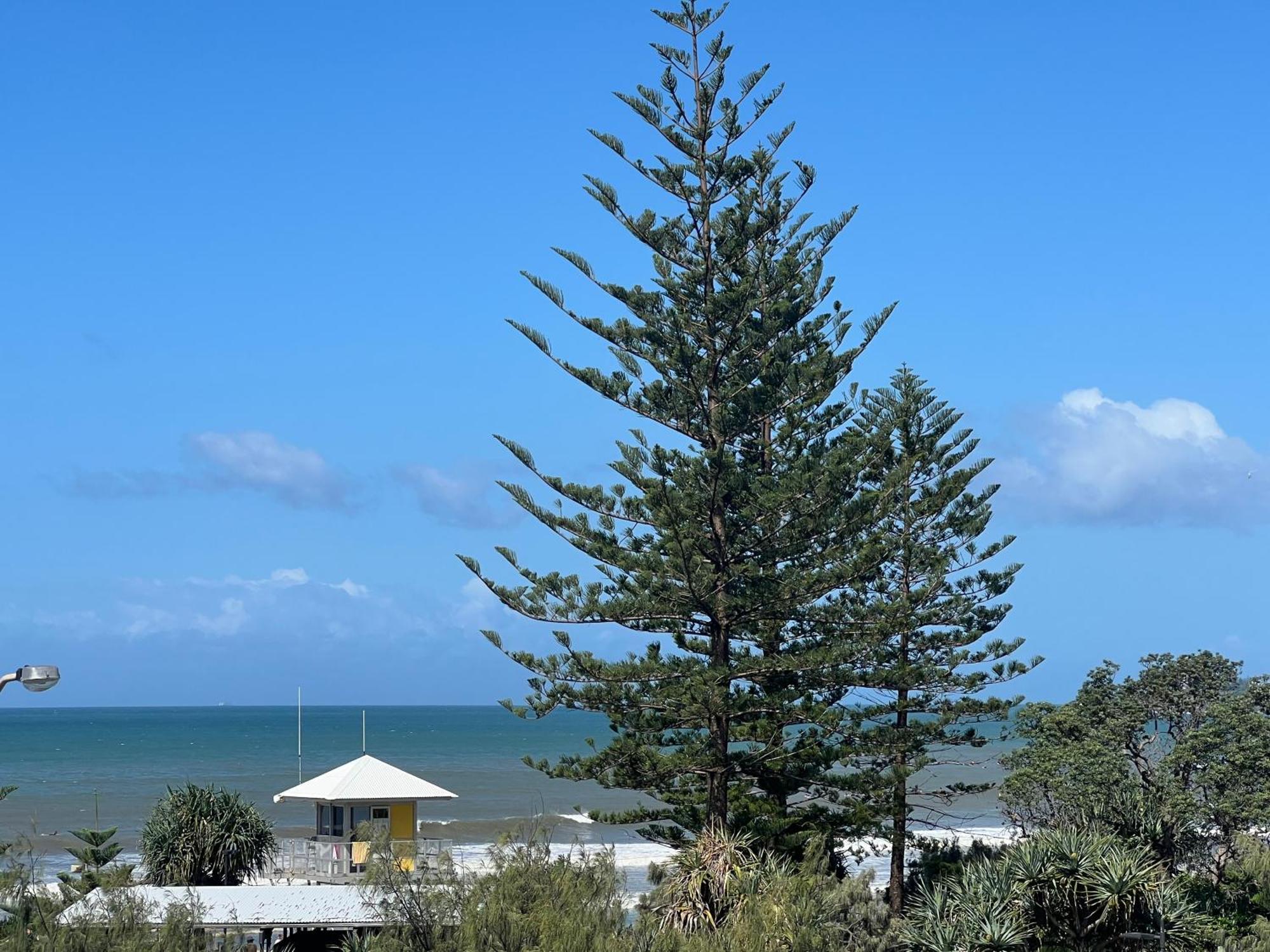Ocean View - Alexandra Headlands Beachfront Unit Exterior photo